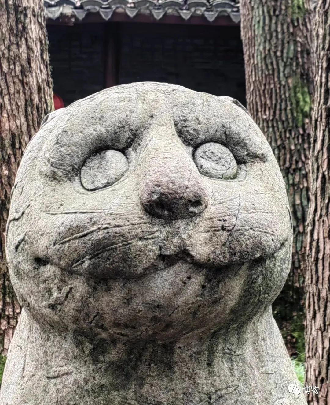DƬ